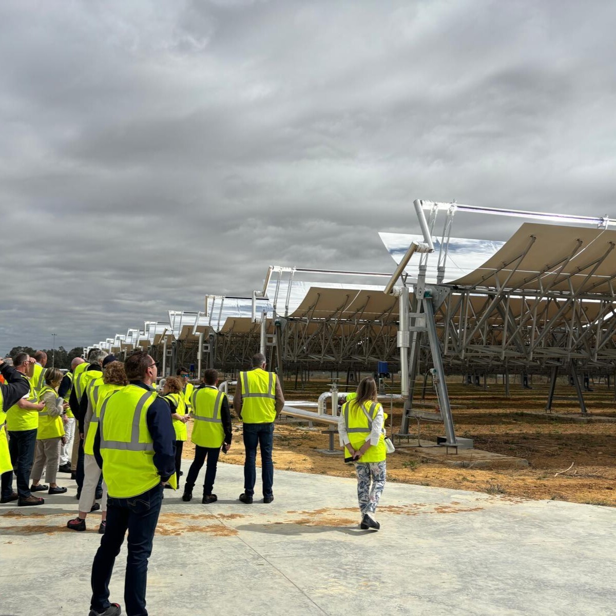 Agrivoltaïsme sous le soleil de l’Andalousie